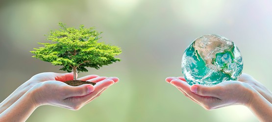 SUSTAINABLE PURCHASING GUIDELINES