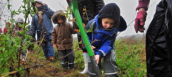 European children go green from an early age