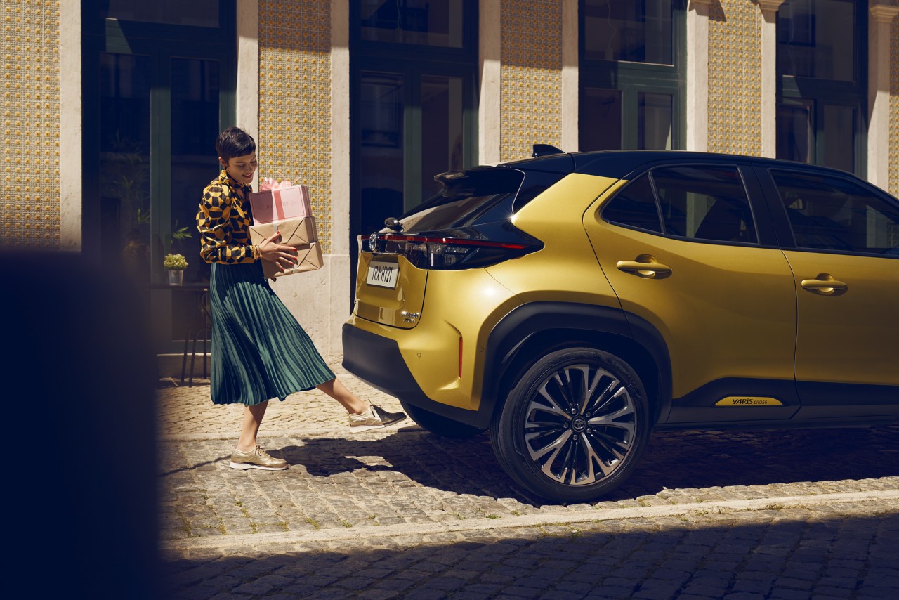 Full Hybrid Insurance 